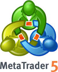 MT 5 Logo Bild